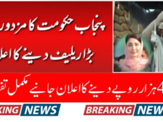 Punjab Declares Updated Minimum Salary Standards for 2025 Providing Support to Employees