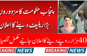 Punjab Declares Updated Minimum Salary Standards for 2025 Providing Support to Employees